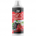 BCAA Concentrate from 2SN, 1000 мл (40 порций)