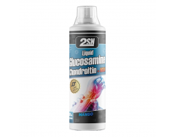 Liquid Glucosamine + Chondroitin + MSM from 2SN, 1000 мл (50 порций)-foto3