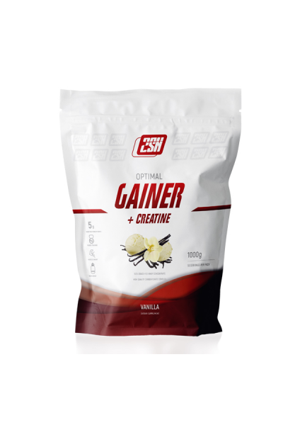 Gainer + Creatine from 2SN, 1000 гр (10 порций)
