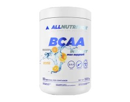 BCAA Instant Max Support AllNutrition, 500 гр (50 порции)