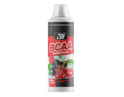 BCAA Concentrate from 2SN, 500 мл (20 порций)