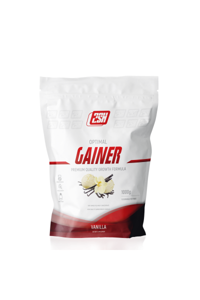 Gainer from 2SN, 1000 гр (10 порций)