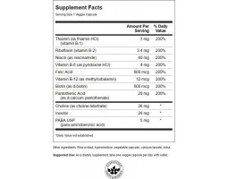 Swanson Balance B-200 complex (Витамин Б-200 комплекс), 100 вег капс-foto2