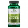 Swanson Gotu Kola (Готу кола), 435 мг, 60 капс