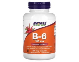 Now Foods B-6 100 мг/капс, 250 капсул
