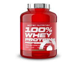 Сывороточный протеин 100% WHEY PROTEIN PROFESSIONAL (500 / 920 / 2350 гр) 