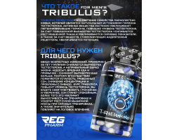 RegPharm Трибулус 90 капс-foto6