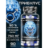 RegPharm Трибулус 90 капс