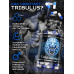 RegPharm Трибулус 90 капс