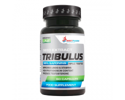 Tribulus from WestPharm, 500 мг (60 капсул)